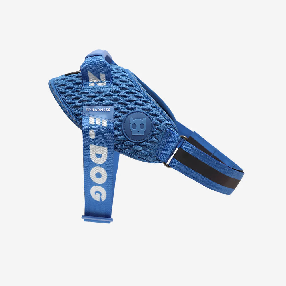 Slam Dunk FlyHarness