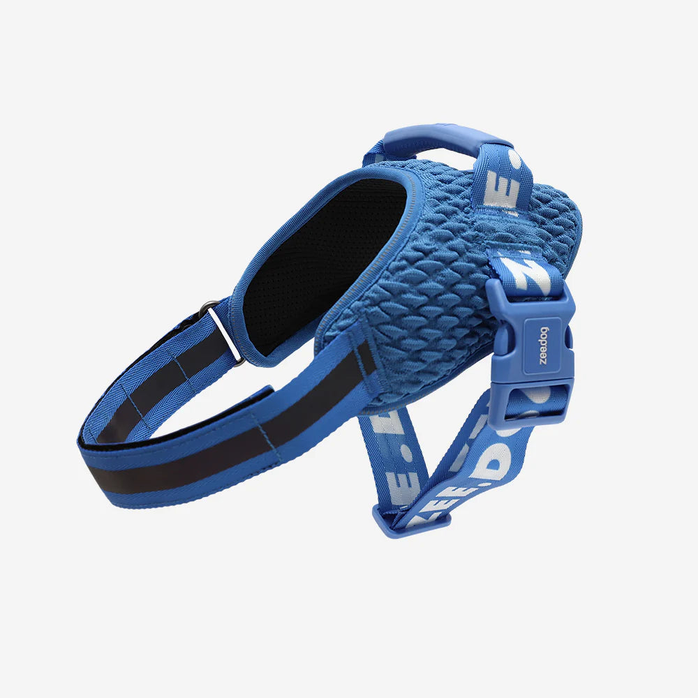 Slam Dunk FlyHarness