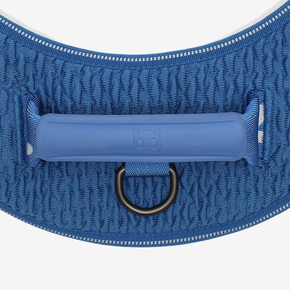 Slam Dunk FlyHarness